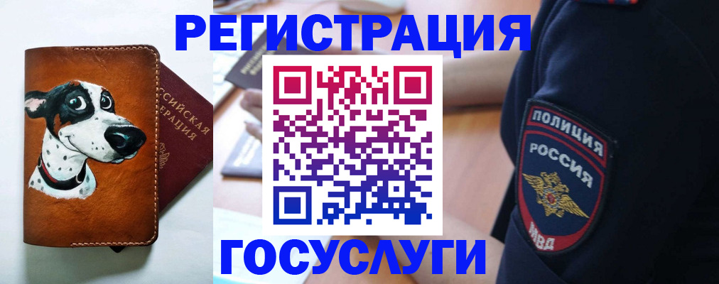 временная регистрация в квартире в Зиме